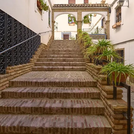 Medina Paradise *